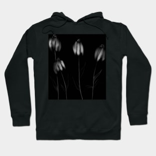 Coneflowers on black Hoodie